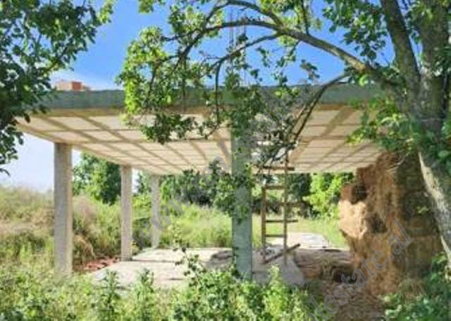 Land for Sale in Hamallaj, Durrës, Albania